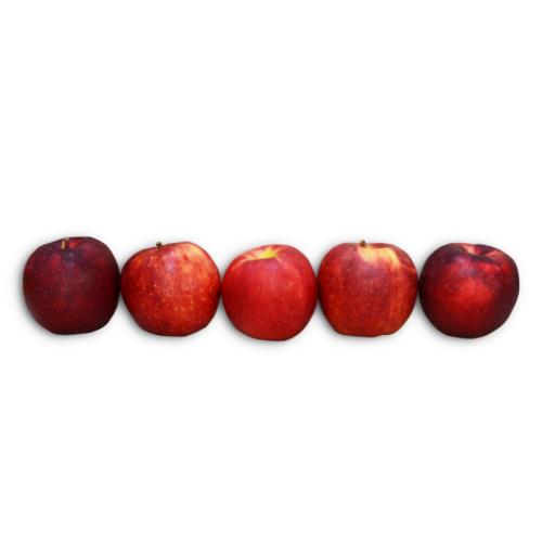 Manzanas XL importadas. Canadá. Bolsa 5 unidades