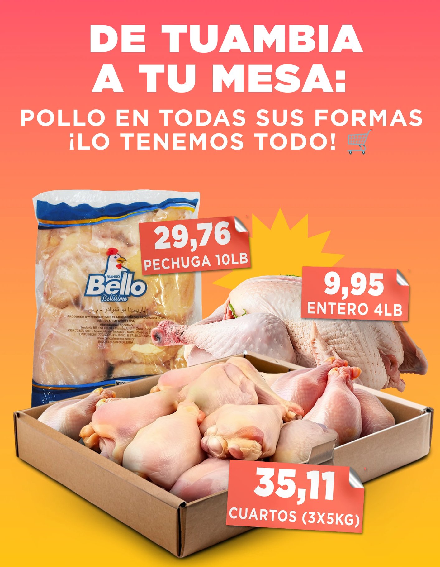 Polloo
